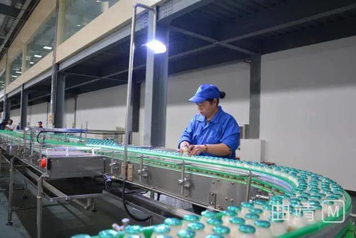 陸良現代化廠區投資2.8億，企業管理服務助力試生產階段高效運行