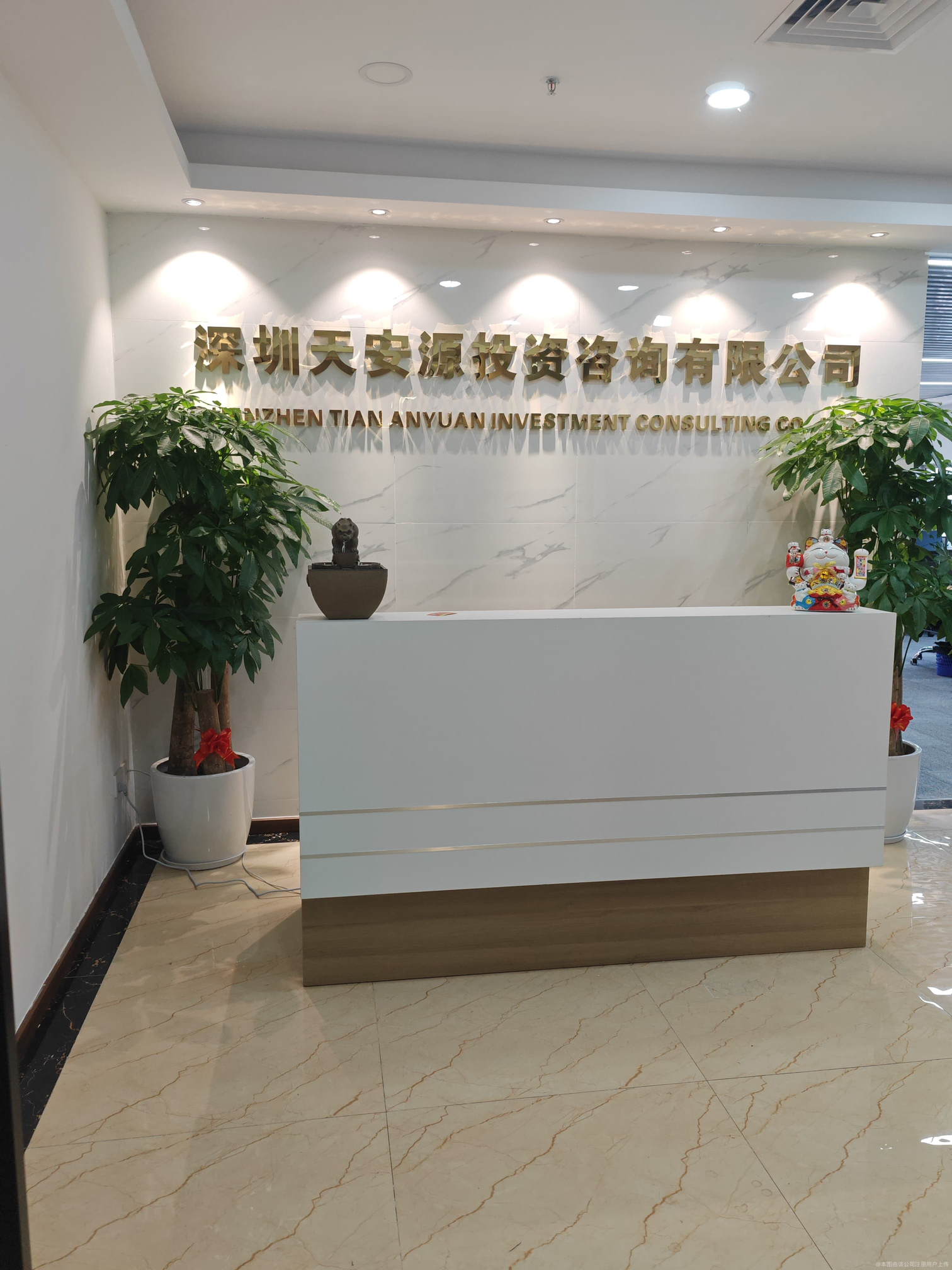 深圳天安源投資咨詢 專業引領，賦能企業投資決策