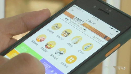 阿右旗 打造電商產(chǎn)業(yè)鏈，助力特色產(chǎn)品行穩(wěn)致遠(yuǎn)
